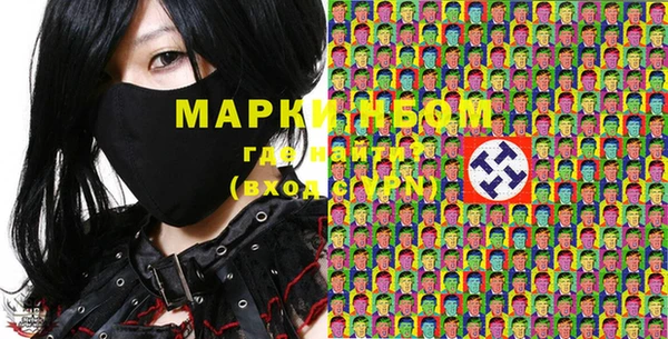 шишки Мегион